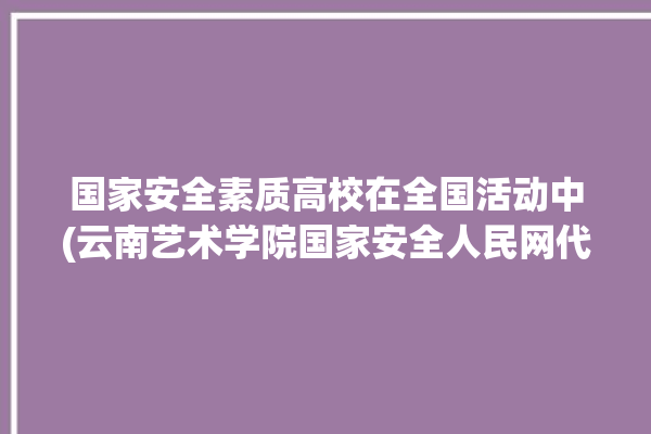 国家安全素质高校在全国活动中(云南艺术学院国家安全人民网代表队)