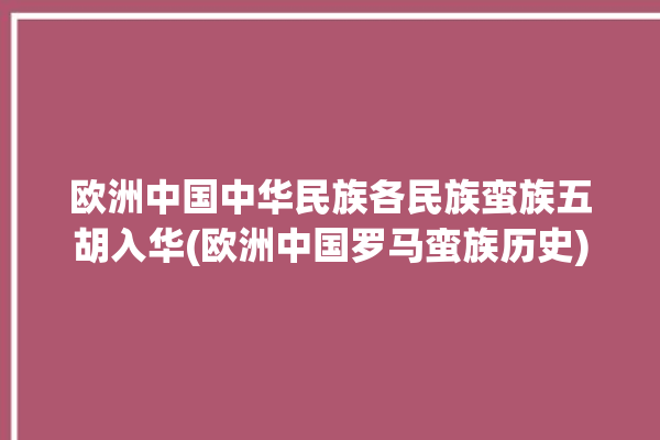 欧洲中国中华民族各民族蛮族五胡入华(欧洲中国罗马蛮族历史)