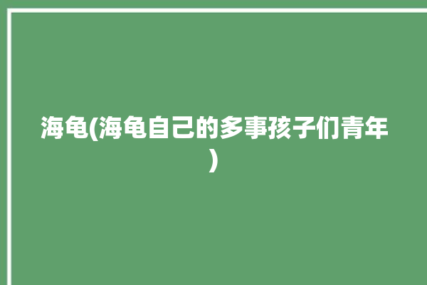 海龟(海龟自己的多事孩子们青年)