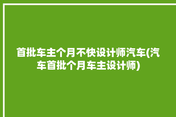 首批车主个月不快设计师汽车(汽车首批个月车主设计师)