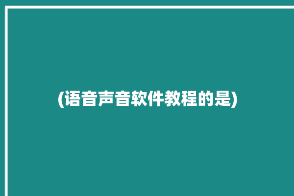 (语音声音软件教程的是)