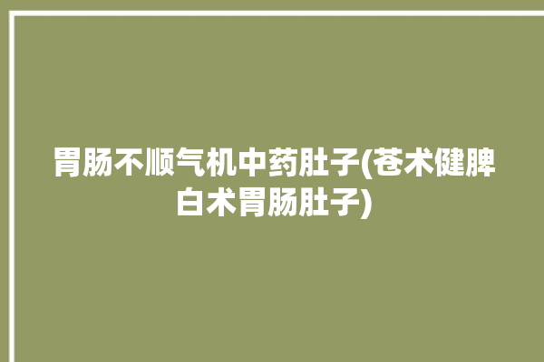 胃肠不顺气机中药肚子(苍术健脾白术胃肠肚子)