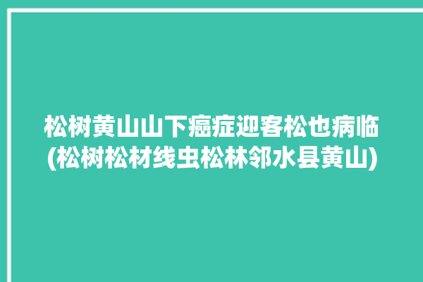 松树黄山山下癌症迎客松也病临(松树松材线虫松林邻水县黄山)