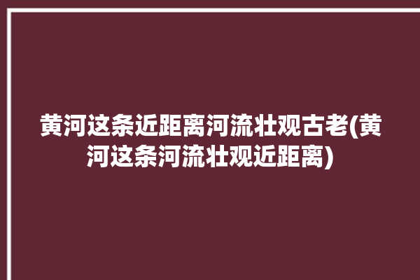 黄河这条近距离河流壮观古老(黄河这条河流壮观近距离)