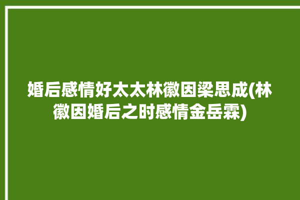 婚后感情好太太林徽因梁思成(林徽因婚后之时感情金岳霖)