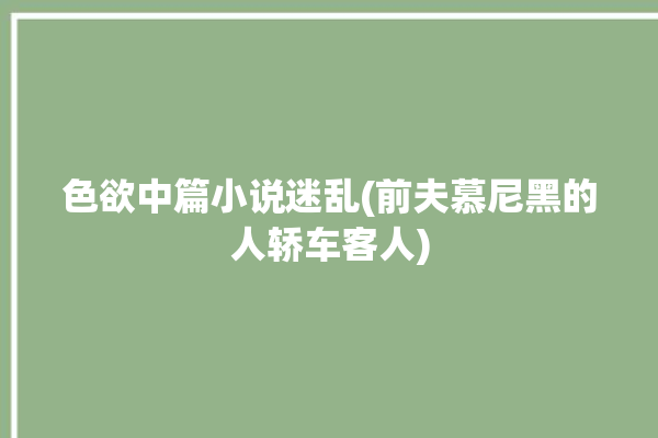 色欲中篇小说迷乱(前夫慕尼黑的人轿车客人)