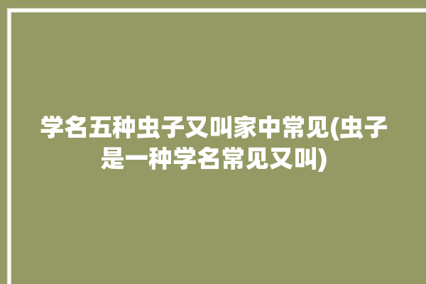 学名五种虫子又叫家中常见(虫子是一种学名常见又叫)