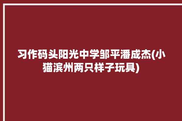 习作码头阳光中学邹平潘成杰(小猫滨州两只样子玩具)