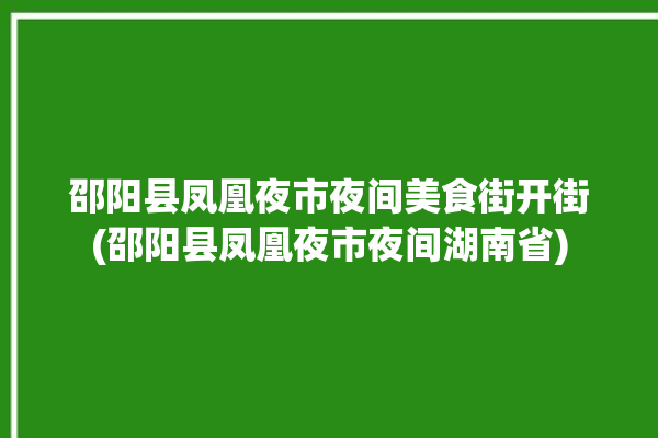 邵阳县凤凰夜市夜间美食街开街(邵阳县凤凰夜市夜间湖南省)