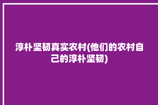 淳朴坚韧真实农村(他们的农村自己的淳朴坚韧)