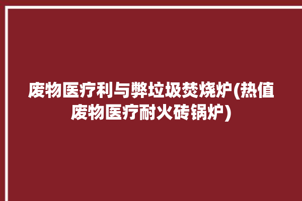 废物医疗利与弊垃圾焚烧炉(热值废物医疗耐火砖锅炉)