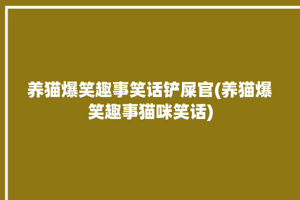 养猫爆笑趣事笑话铲屎官(养猫爆笑趣事猫咪笑话)