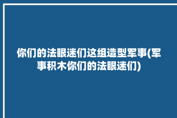 你们的法眼迷们这组造型军事(军事积木你们的法眼迷们)