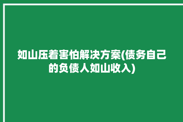 如山压着害怕解决方案(债务自己的负债人如山收入)