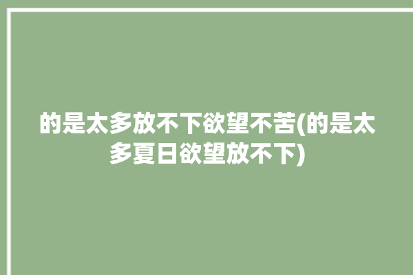 的是太多放不下欲望不苦(的是太多夏日欲望放不下)