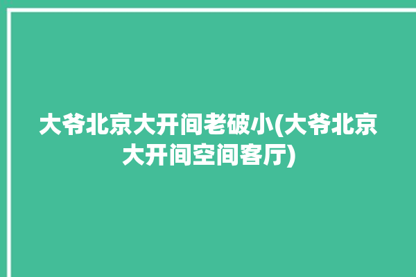 大爷北京大开间老破小(大爷北京大开间空间客厅)