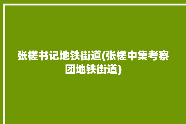 张槎书记地铁街道(张槎中集考察团地铁街道)