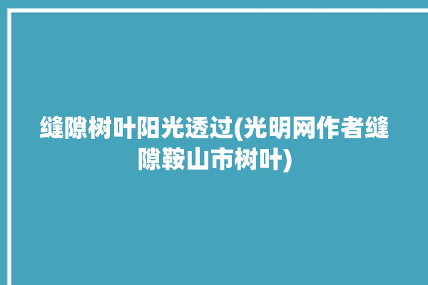 缝隙树叶阳光透过(光明网作者缝隙鞍山市树叶)