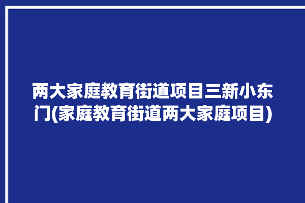 两大家庭教育街道项目三新小东门(家庭教育街道两大家庭项目)