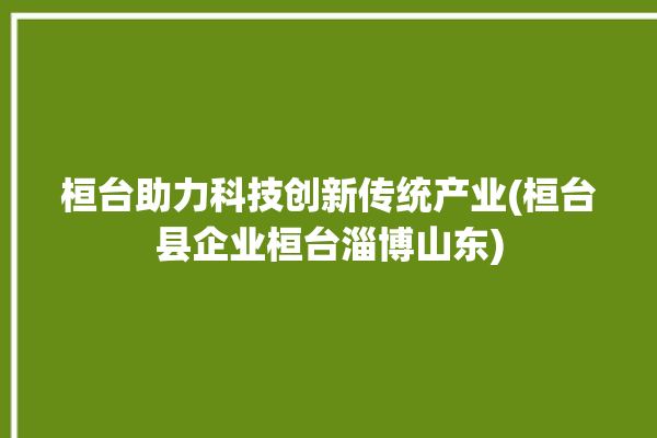 桓台助力科技创新传统产业(桓台县企业桓台淄博山东)