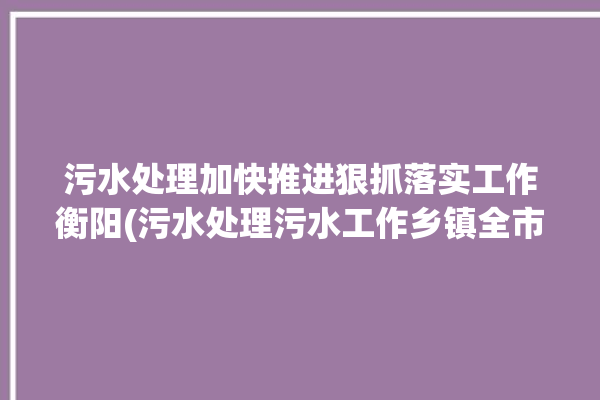 污水处理加快推进狠抓落实工作衡阳(污水处理污水工作乡镇全市)