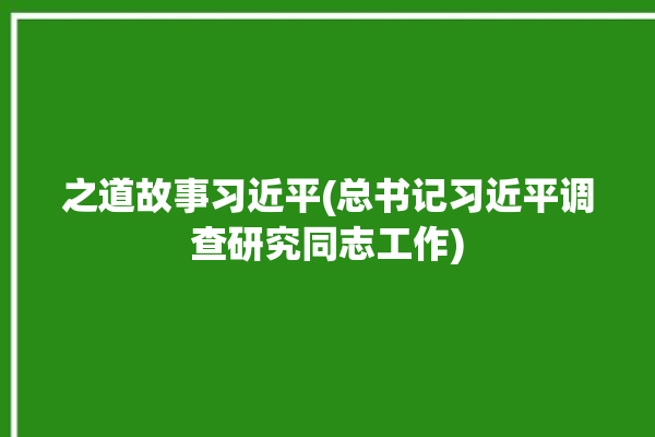 之道故事习近平(总书记习近平调查研究同志工作)