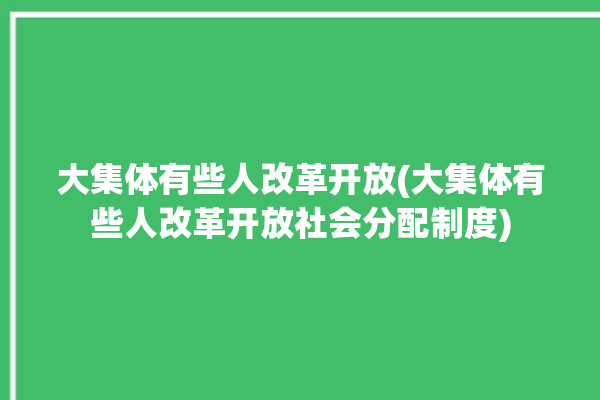 大集体有些人改革开放(大集体有些人改革开放社会分配制度)