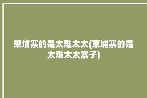 柬埔寨的是太难太太(柬埔寨的是太难太太寨子)