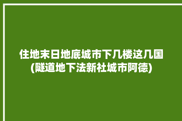 住地末日地底城市下几楼这几国(隧道地下法新社城市阿德)