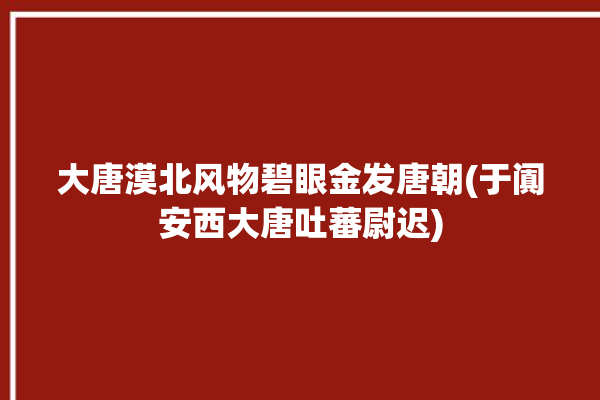 大唐漠北风物碧眼金发唐朝(于阗安西大唐吐蕃尉迟)