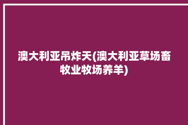 澳大利亚吊炸天(澳大利亚草场畜牧业牧场养羊)