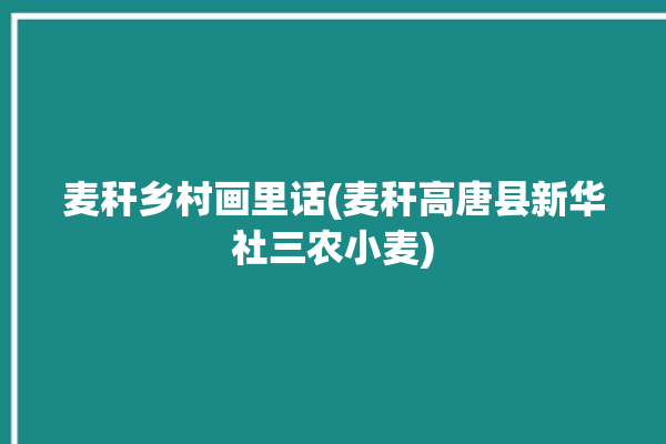 麦秆乡村画里话(麦秆高唐县新华社三农小麦)