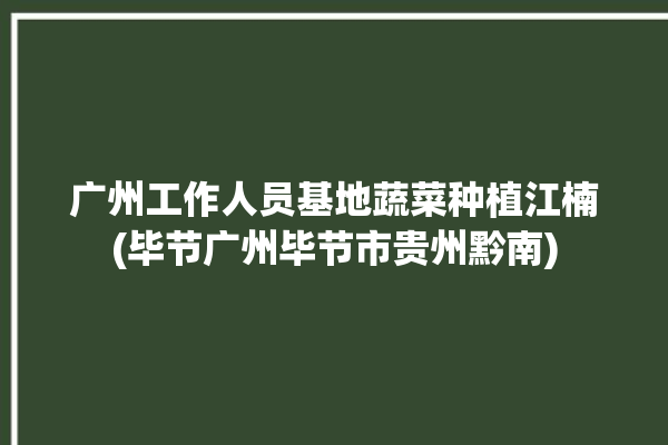 广州工作人员基地蔬菜种植江楠(毕节广州毕节市贵州黔南)