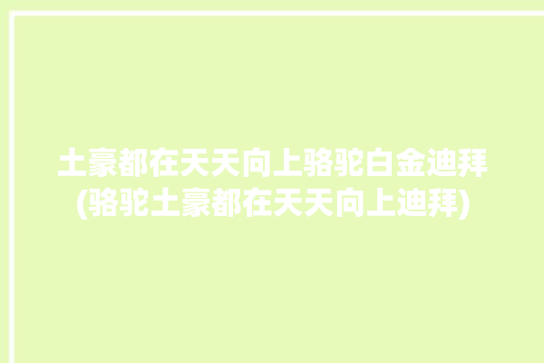 土豪都在天天向上骆驼白金迪拜(骆驼土豪都在天天向上迪拜)