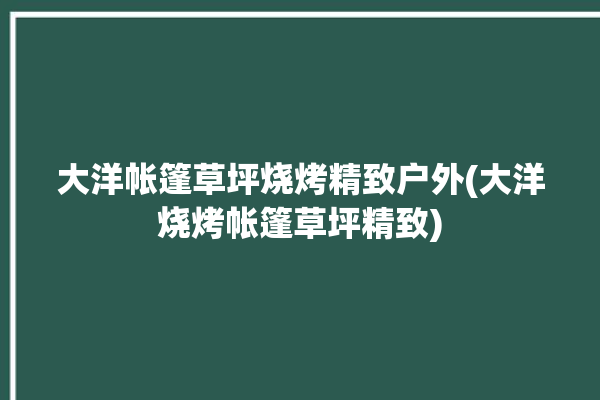 大洋帐篷草坪烧烤精致户外(大洋烧烤帐篷草坪精致)