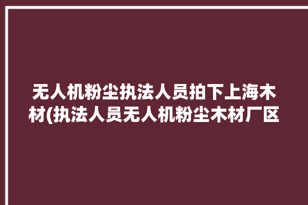 无人机粉尘执法人员拍下上海木材(执法人员无人机粉尘木材厂区)