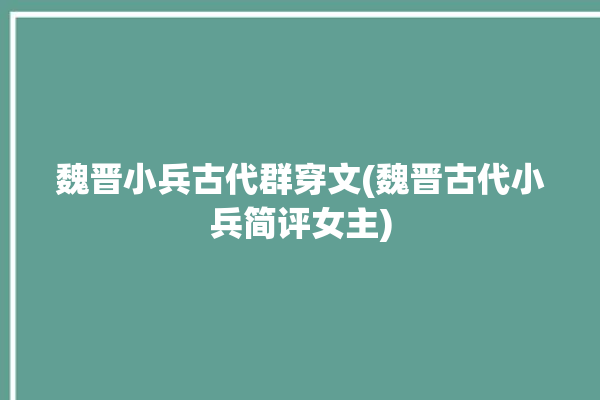 魏晋小兵古代群穿文(魏晋古代小兵简评女主)