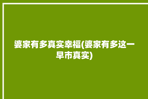 婆家有多真实幸福(婆家有多这一早市真实)