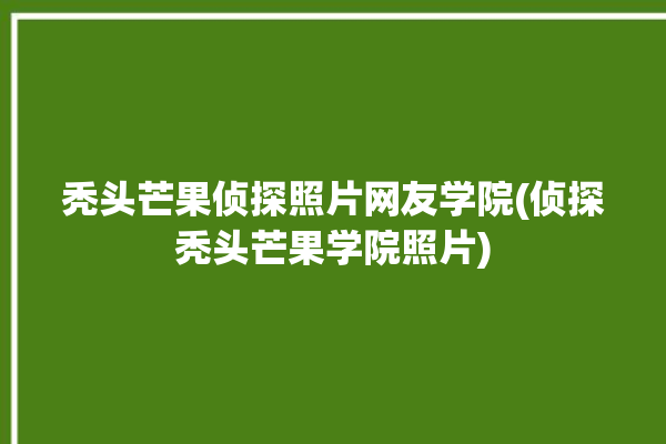 秃头芒果侦探照片网友学院(侦探秃头芒果学院照片)