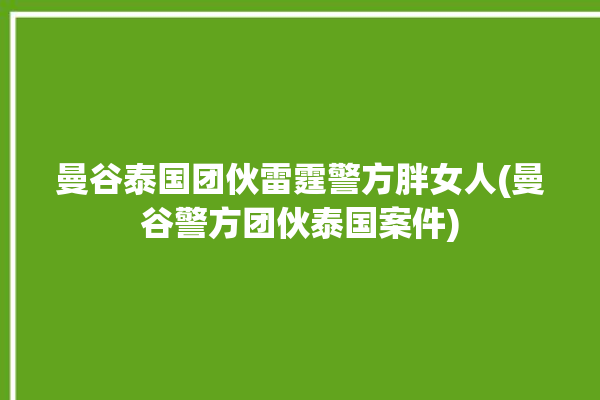 曼谷泰国团伙雷霆警方胖女人(曼谷警方团伙泰国案件)