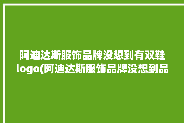 阿迪达斯服饰品牌没想到有双鞋logo(阿迪达斯服饰品牌没想到品牌劳力士)