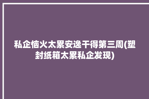 私企恼火太累安逸干得第三周(塑封纸箱太累私企发现)