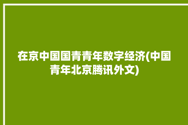 在京中国国青青年数字经济(中国青年北京腾讯外文)