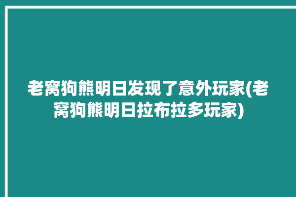 老窝狗熊明日发现了意外玩家(老窝狗熊明日拉布拉多玩家)