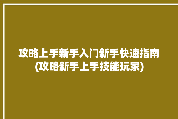 攻略上手新手入门新手快速指南(攻略新手上手技能玩家)