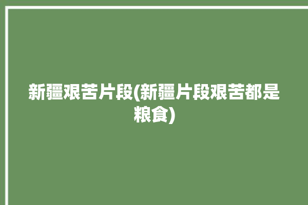 新疆艰苦片段(新疆片段艰苦都是粮食)