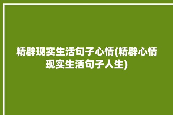 精辟现实生活句子心情(精辟心情现实生活句子人生)