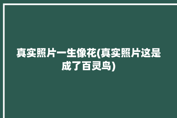 真实照片一生像花(真实照片这是成了百灵鸟)