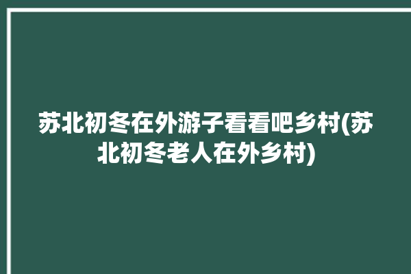 苏北初冬在外游子看看吧乡村(苏北初冬老人在外乡村)