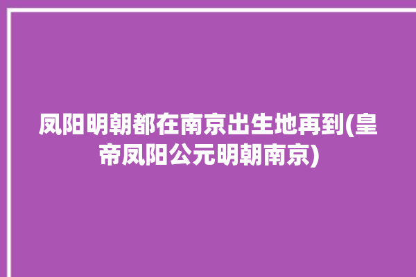 凤阳明朝都在南京出生地再到(皇帝凤阳公元明朝南京)